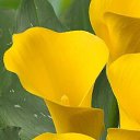 ���� ������, ��������, 48 ��� - ��������� 10 �������� 2025 � ������ ���� ����������