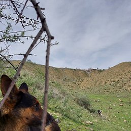 �����, �������������, 35 ���