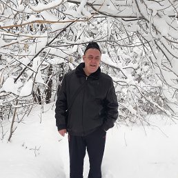 ���������, 43 ����, �������