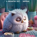 ���� ���������, ������, 42 ���� - ��������� 26 ������� 2026