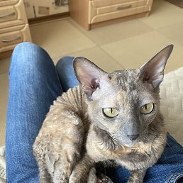 ���� �����, ������, 21 ��� - ��������� 13 ���� 2024