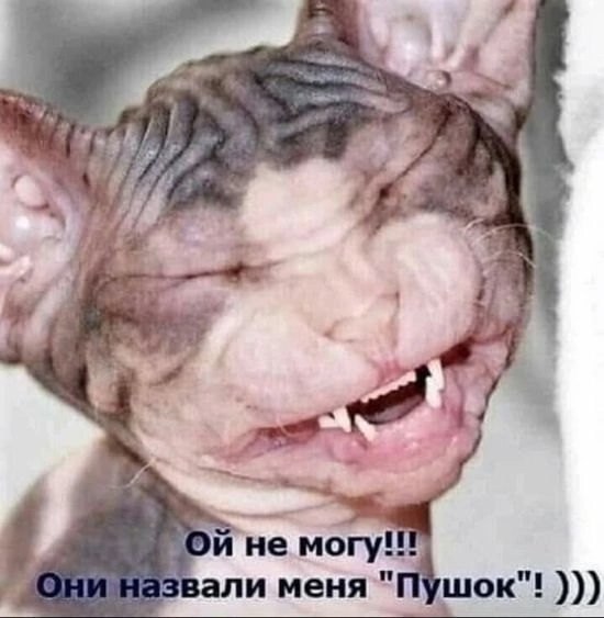  - 4  2025  08:34