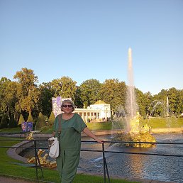 , 58, 