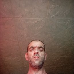 , 42, 