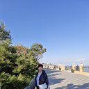 ���� �����, ������, 66 ��� - ��������� 27 ������� 2024 � ������ ���� ����������
