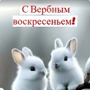  ? (, -, 57  -  13  2025    