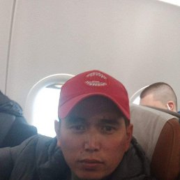 , 37, 