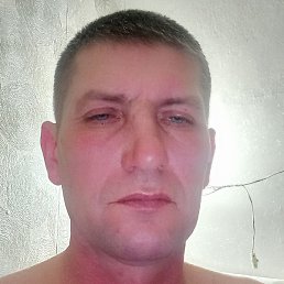 �������, ������, 49 ���