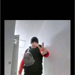 , 37, 