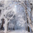 ���� ��������, ���� - ��������� 19 ������� 2024 � ������ ������ ��������