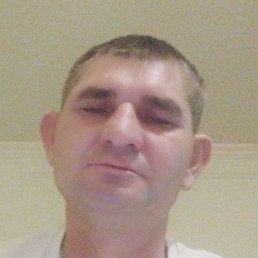 �������, �������, 37 ���