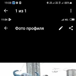 ���� �������, �����������, 49 ��� - ��������� 12 ������� 2025