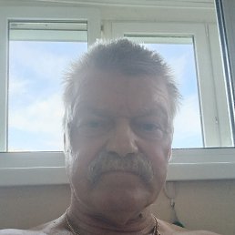, 54 , -