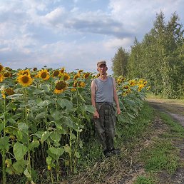 ����, ������, 49 ���