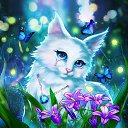 ���� �����, ������� - ��������� 15 ������ 2025 � ������ ���� ����������
