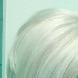 ������, ��������, 51 ���