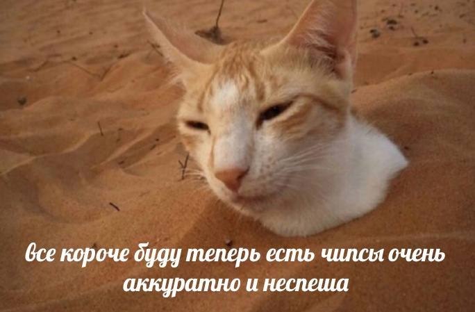    - 11  2023  00:39