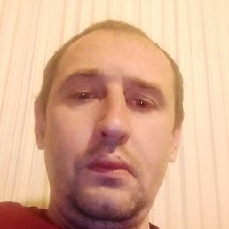 ��������, �������, 41 ���