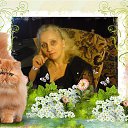 ���� �����, ������ - ��������� 29 ������� 2024 � ������ �������