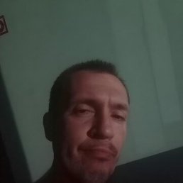 ���� ������, ����, 42 ���� - ��������� 18 ������ 2025