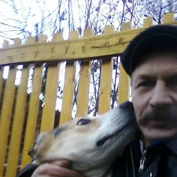 ���� �������, ������������, 68 ��� - ��������� 17 ������� 2024