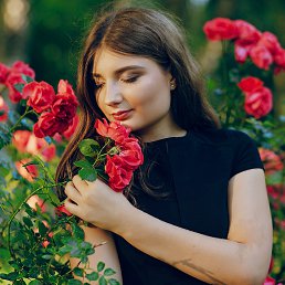 ���� ������, ���������, 41 ��� - ��������� 20 ��� 2024