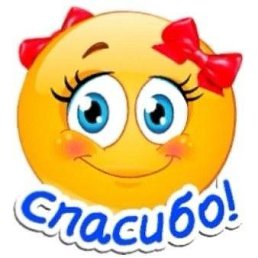 ���� ���������, ������, 43 ���� - ��������� 13 ����� 2024