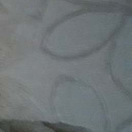 �����, ���������, 41 ���