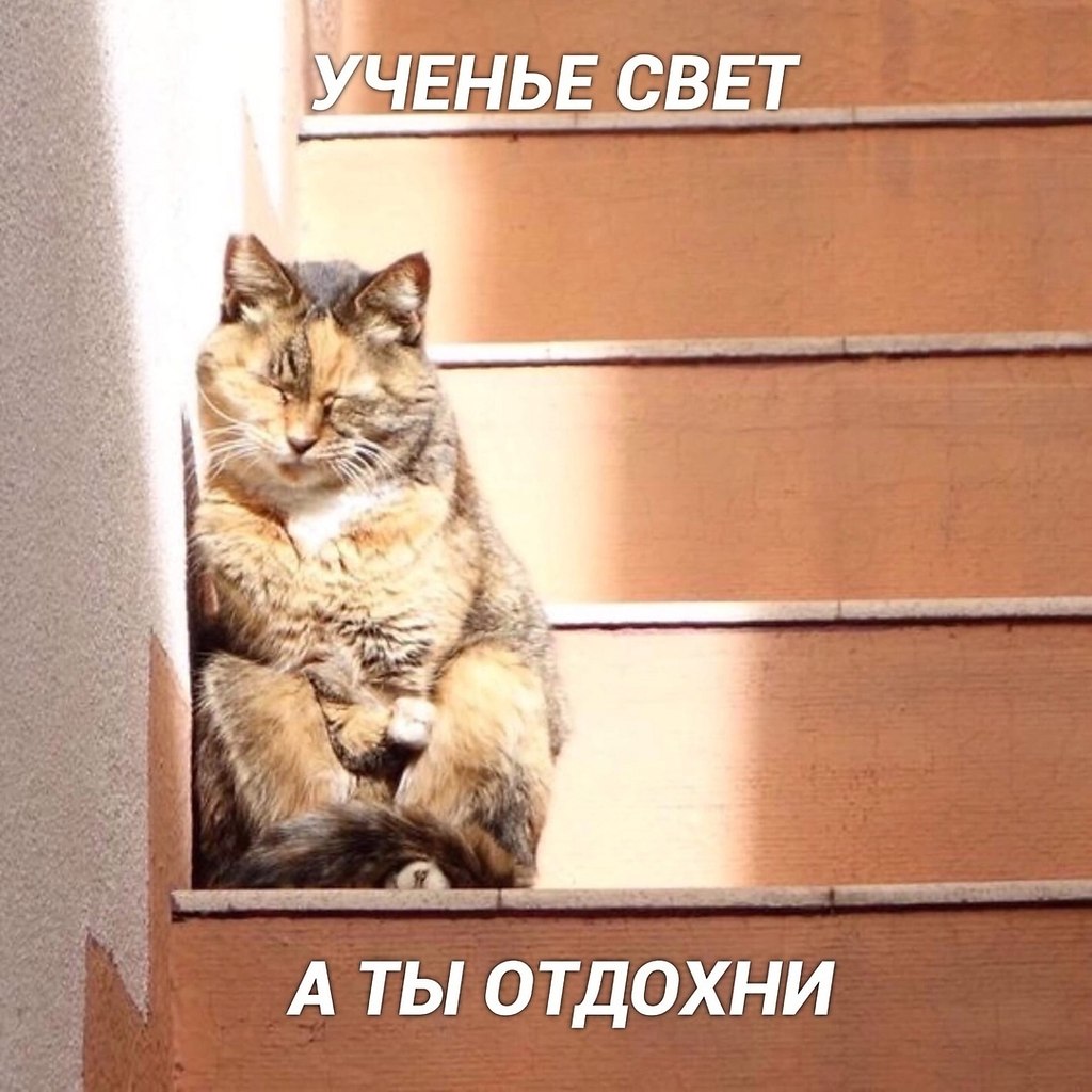   - 3