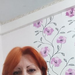 ���� ��������, �����, 48 ��� - ��������� 20 ��� 2026