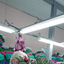 ���� �����, ������, 54 ���� - ��������� 28 ������� 2023 � ������ ���� ����������