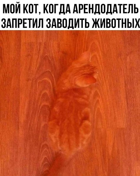 ? ,  ! - 26  2024  08:30