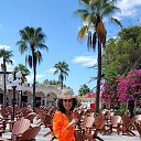  , , 58  -  29  2025   ,  2025