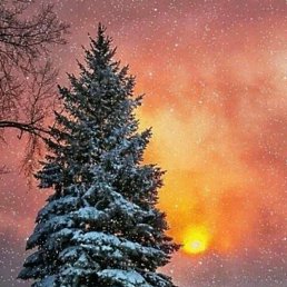 ���� ����, ������, 65 ��� - ��������� 5 ������ 2024