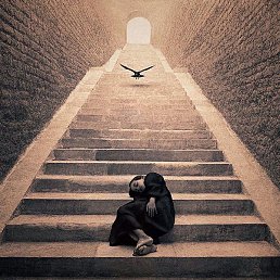 &hellip;, ���������, 85 ���