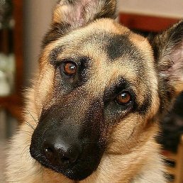 ����, ��������, 47 ���