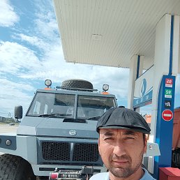 �����, 36 ���, ���������