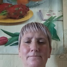 , 44, 
