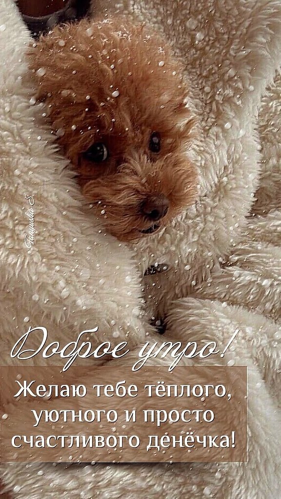   ,    . - 2  2025  00:53 - 5