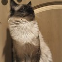 ���� Tina*, �������, 55 ��� - ��������� 23 ������ 2025 � ������ ������ ��������