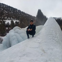 , 29, 