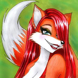 ����, �������