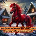 ���� ������, �����-���������, 71 ��� - ��������� 1 ������ 2026 � ������ ������ ��������