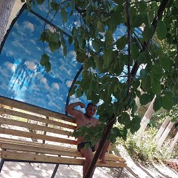 ���� Boxer, ������������, 29 ��� - ��������� 24 ������� 2023