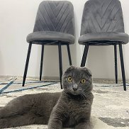 Damir, 24 ����, ������