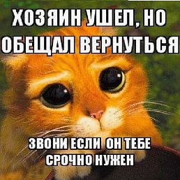 �������, ���������