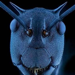 ���� ����, ���������, 33 ���� - ��������� 10 ����� 2024