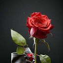 ���� ��������, �����������, 56 ��� - ��������� 2 ����� 2026 � ������ ������ ��������