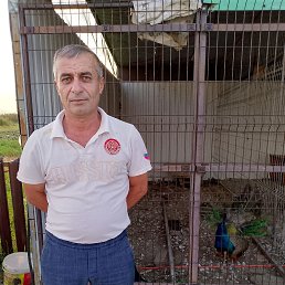  , 54, 