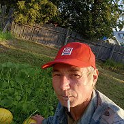 , 45 , 